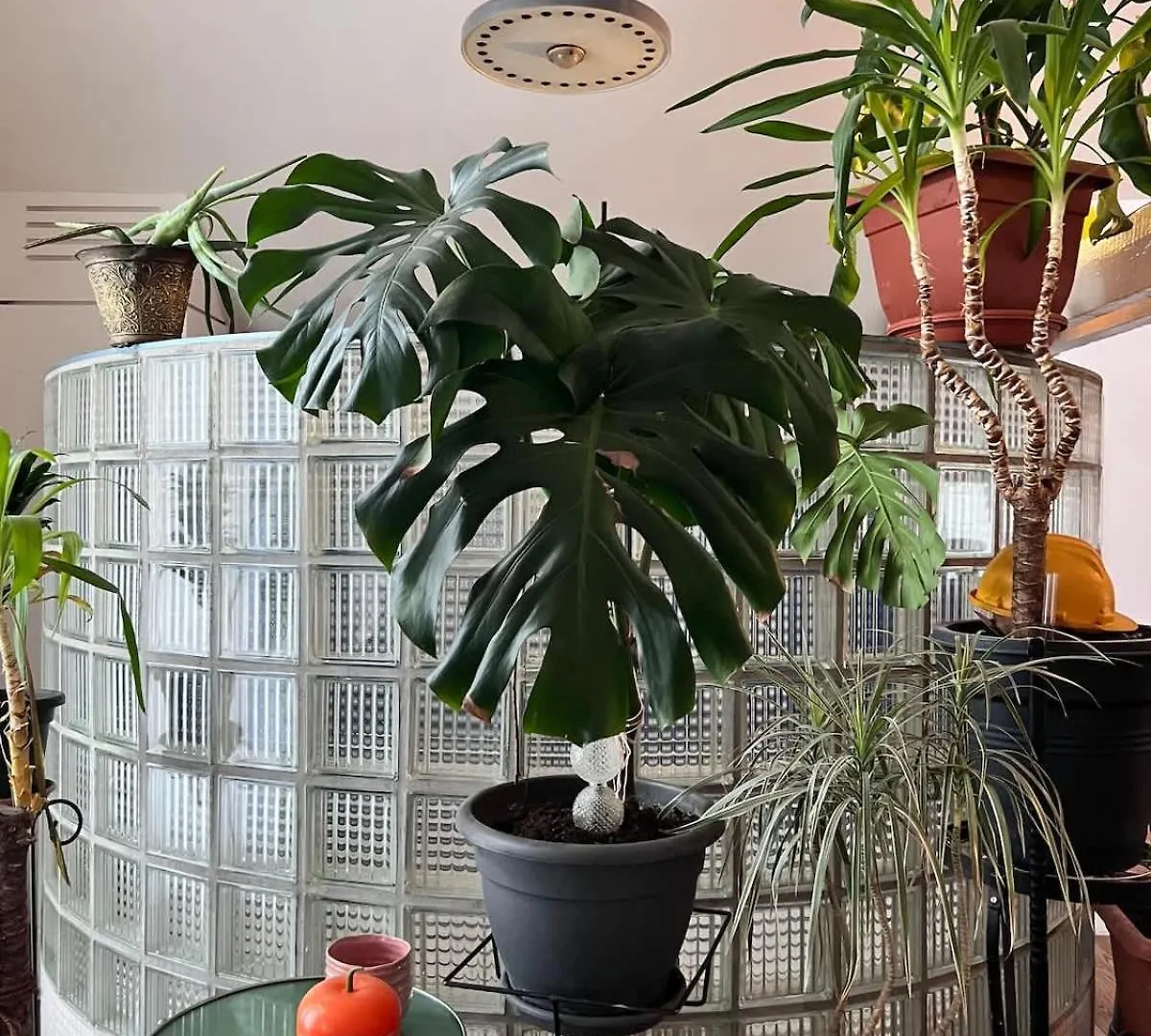 Loft Atelier - Style Vintage Apartment Brussels 0*,  Belgium